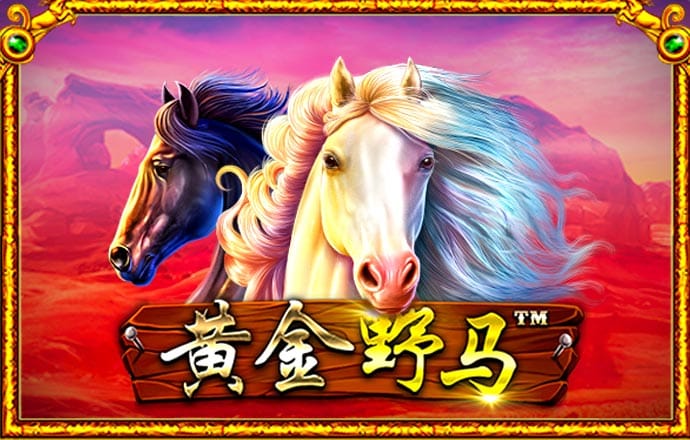 哈哈体育app官网